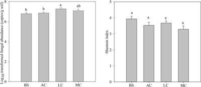 The development of the biological soil crust regulates the fungal distribution and the stability of fungal networks